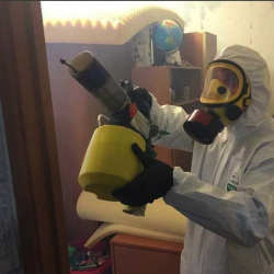Уничтожение клопов в квартире. Полежаевская